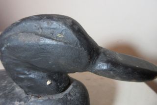 antique 1800 ' s hand carved wood Folk Art east coast black duck decoy sculpture 3
