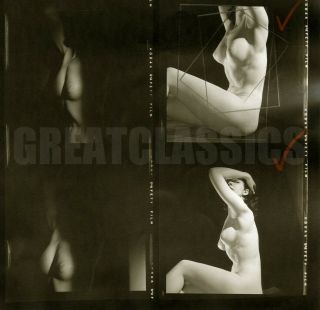 Barbara Lyle Lovely Nude Figure Model 1950s Contact Photograph Peter Basch