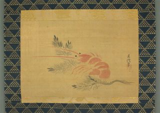 掛軸1967 Japanese Hanging Scroll : Kano Chikanobu " Japanese Spiny Lobster " @e888