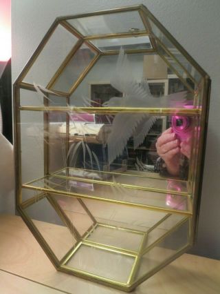Vintage Glass & Brass Mirror Etched Curio Display Cabinet 10 - 5/8 " X7 - 7/8 " X2 - 3/8