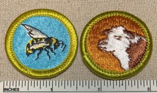 2 Vintage Boy Scout Merit Badge Patches Beef Production & Beekeeping Bsa Camp Pb