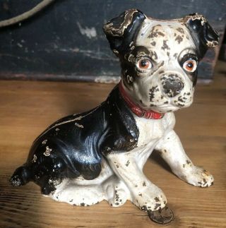 Antique Cast Iron Hubley Sitting Boston Terrier Puppy Dog Still Bank