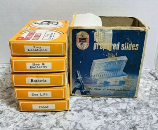60 Vintage Sears Microscope Glass Prepared Slides 5 Boxes Japan Bugs Creatures