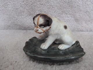 Vintage Antique Bisque Porcelain Muzzled Dog Figure Ashtray Trinket Dish 4.  5 " L