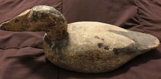 Early Vintage Antique Carved Wood Paint Duck Decoy