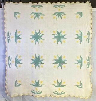 Antique Vintage Yellow & White Iris Quilt Hand Appliqued Floral Quilt 81 " X77 "