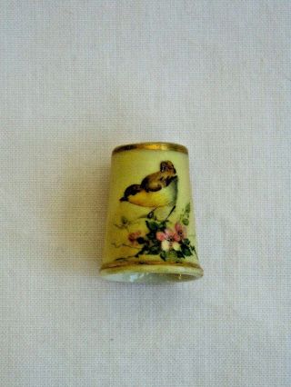 Royal Worcester Fine Quality Antique Blush Ivory Hand Painted Bird Thimble.