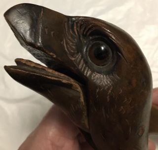 Antique Carved Wooden Black Forest Figural Nutcracker Vulture Bird Animalia Old