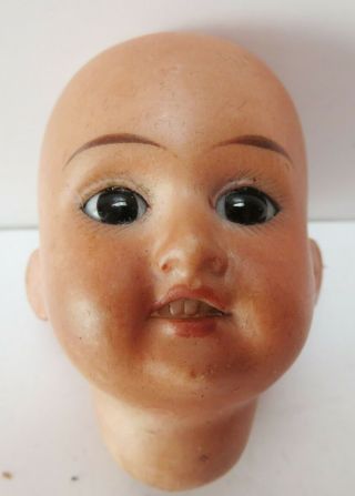 Rare Antique Armand Marseille Bisque Socket Doll Head 1894 Dark Complexion