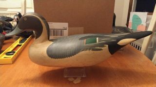 Antique R.  Madison Mitchell Pintail Drake Decoy Or Early Harry Jobes