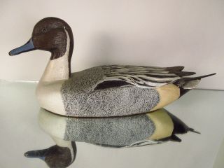 Antique Carved Painted Duck Decoy Glass Eyes Male Pintail Signed Jr " Bob " Wert