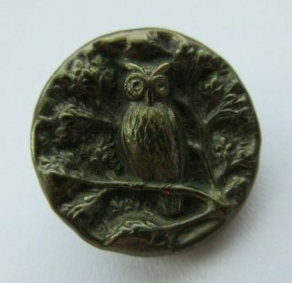 Wonderful Antique Vtg Victorian Metal Picture Button Owl Bird In Tree 3/4 " (p)