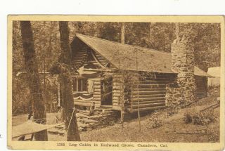 Vintage Photo Old Log Cabin In Redwood Grove,  Cazadero,  Calif. ,  Reprint