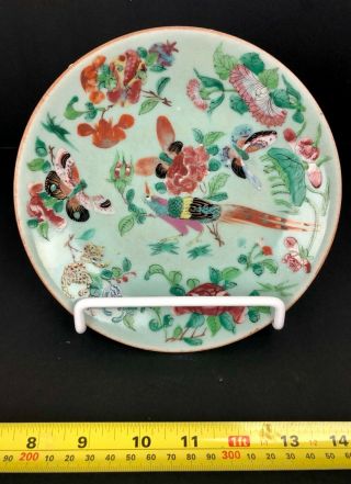 Vintage Antique Asian Porcelain China Celadon Bird And Flowers Plate