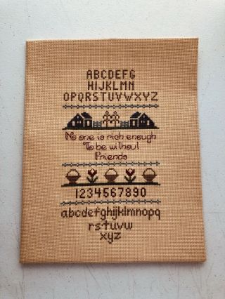 Vintage Cross Stitch Sampler Alphabet Friends Saying Numbers Houses 10 X 12
