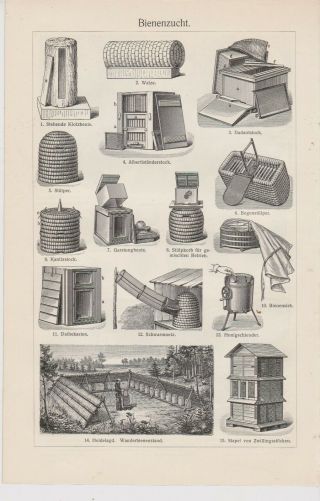 1895 Bee Bees Beekeeping Apiary Beehive Antique Engraving Lithograph Print