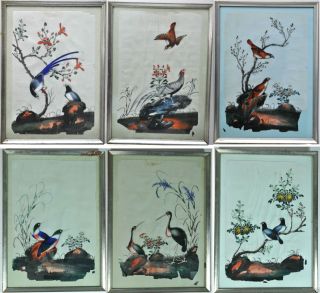 6 Antique Chinese China Qing Dynasty Watercolor Painting Pith Rice Paper 1850