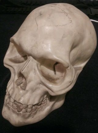 Vintage Skull Signed A.  Santini,  Italy Heavy 7 Lbs,  Sculpture 6 " H X 9 1/2 " L