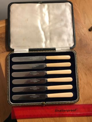 6 Antique Butter/cake Knives In Precentation Box By Robert F Mosley Of Sheffield