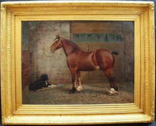 Large 19th Century Portrait Shire Horse & Dog Antique Oil Painting