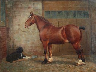 LARGE 19th CENTURY PORTRAIT SHIRE HORSE & DOG Antique Oil Painting 2