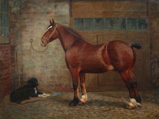 LARGE 19th CENTURY PORTRAIT SHIRE HORSE & DOG Antique Oil Painting 3