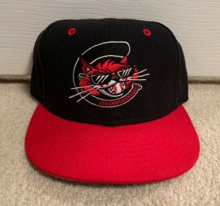 Charleston Alley Cats Vintage Era Fitted Hat 7 1/2 Minor League Milb Cap Ds