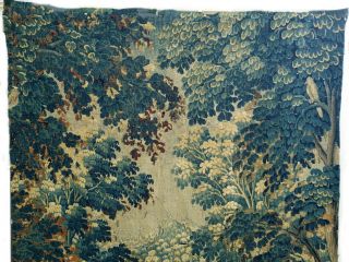 A 18th Century Verdure Tapestry 3