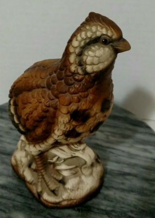 Vtg Quail Bird Partridge Grouse Ceramic Pottery Figurine Made In Japan