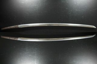 Authentic Antique Japanese Katana Sword Samurai Nihonto,  83.  6cm Fine Conditioned 3