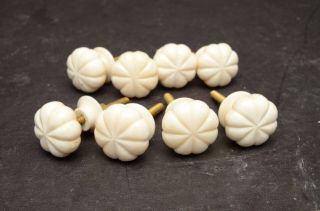 8 White Vtg Ribbed Bone Door Knobs Mosaic Kitchen Cabinet Drawer Pulls Cream