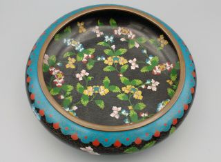 Antique Chinese Cloisonne Bowl Black With Floral Pattern 20cm