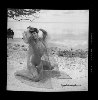 Bettie Page 1954 Camera Negative Photograph Bunny Yeager Estate Sultry Pose Rare 2
