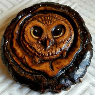 Vintage Hand - Carved Wood Owl Sculpture Wall Hanging 10 " X 9 " Intricate Carving