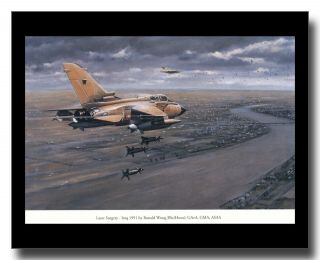Tornado Gr1 Fighter Desert Storm Iraq Buccaneer Framed Picture Ronald Wong