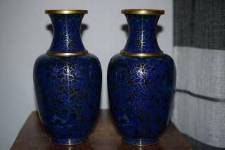 A FINE CHINESE BLUE CLOISONNE VASES 3