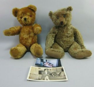 Antique Mohair 21 " Teddy Bears W/growlers 1 Steiff C.  1910 W/ Provenance