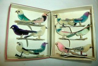 12 Vintage Colorful Chenille Birds,  Box,  Old Stock,  Feather Tree Si