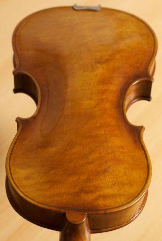 Very Old Labelled Vintage Small Violin " Gajetanus Sgarabotto " Fiddle 小提琴 Geige