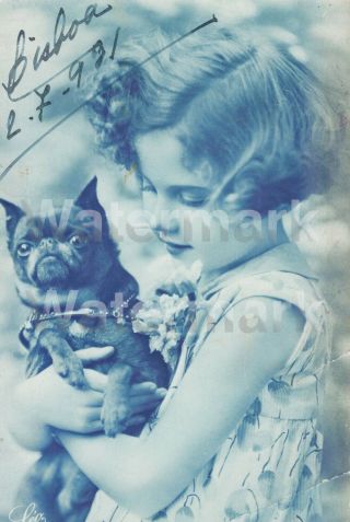 Rare Vintage Real Photo Postcard French Bull Dog Antique Blue Tint
