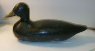 Antique Primitive Duck Decoy Weighted Bottom - Unsigned - 15 " Long