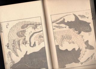 Hokusai Manga Japanese Meiji - Period 19thc Antique Whale Woodblock Printed Book