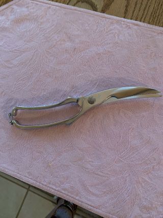 Vintage Italian Poultry Seafood Shears Scissors - 10 " Long - Stainless Italy