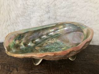 Vintage Large Abalone Shell Trinket Dish Bowl Lucite Feet Footed 8 1/4 "