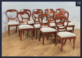 Antique English Victorian Set Of 12 Twelve Mahogany Balloon Back Dining Chairs