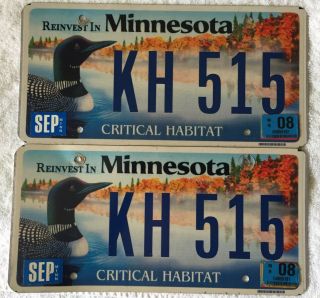 2008 Minnesota Critical Habitat License Plates,  Loon,  Wildlife Kh 515