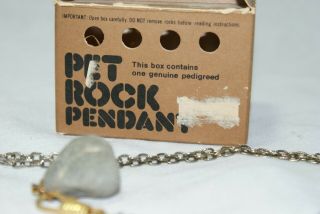 Pet Rock Pendant From 1975,  Rock,  Chain And 