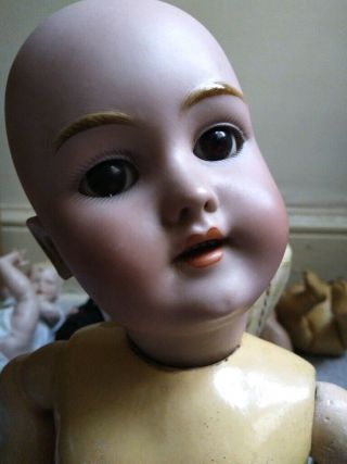Lovely 20 1/2 " Antique Bisque Head Doll 119 Handwerck