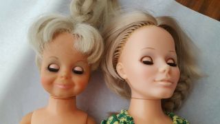 Ideal Grow Hair Velvet Kerry Dolls Vintage Crissy Family Conditionfree Ship