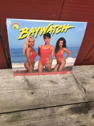 1996 Women Of Baywatch Calendar Pamela Anderson Yasmine Bleeth Vtg Rare